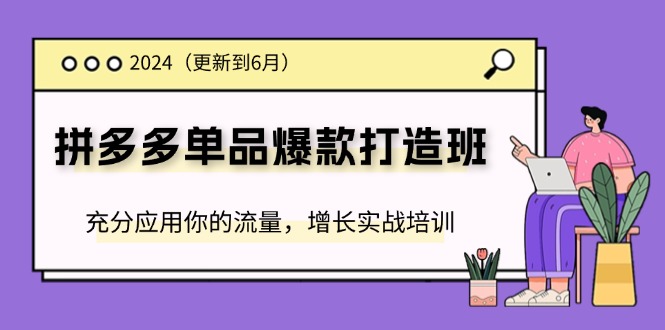 （11556期）2024拼多多-单品爆款打造班(更新6月)，充分应用你的流量，增长实战培训-志拓网创