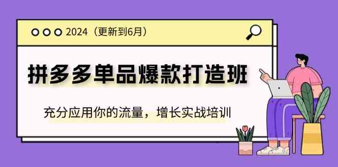 2024拼多多单品爆款打造班，充分应用你的流量，增长实战培训(更新6月)-志拓网创