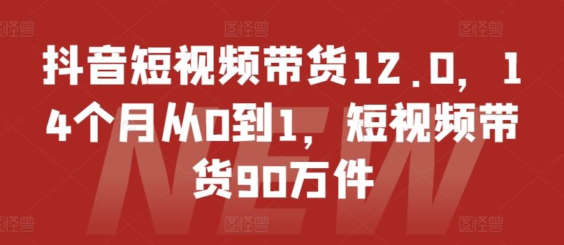 抖音短视频带货12.0，14个月从0到1，短视频带货90万件-志拓网创