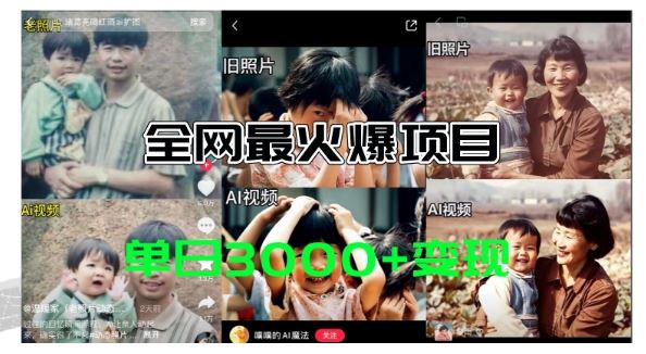 全网爆火的AI让老照片动起来教程，蹭热点日赚3k+，内含免费工具一键可生成【揭秘】-志拓网创