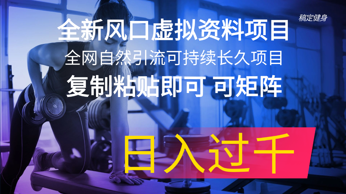 （11587期）全新风口虚拟资料项目 全网自然引流可持续长久项目 复制粘贴即可可矩阵…-志拓网创