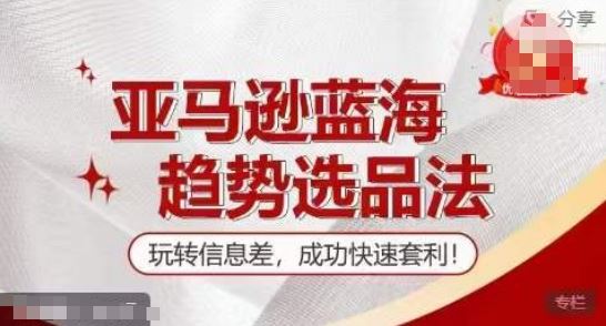 【训练营】亚马逊蓝海趋势选品法，玩转信息差，成功快速套利-志拓网创