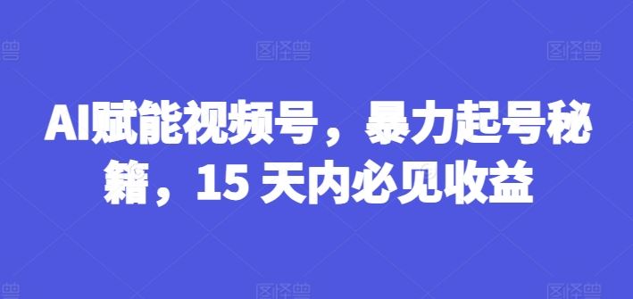 AI赋能视频号，暴力起号秘籍，15 天内必见收益【揭秘】-志拓网创