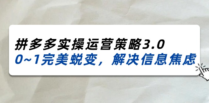 （11658期）2024_2025拼多多实操运营策略3.0，0~1完美蜕变，解决信息焦虑（38节）-志拓网创
