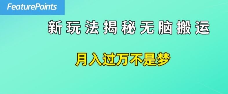 简单操作，每天50美元收入，搬运就是赚钱的秘诀【揭秘】-志拓网创