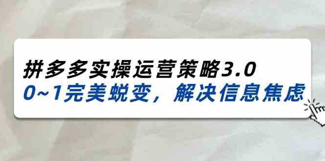 2024-2025拼多多实操运营策略3.0，0~1完美蜕变，解决信息焦虑（38节）-志拓网创