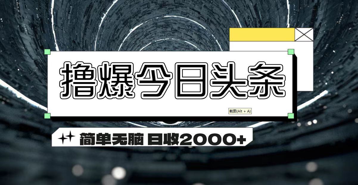 （11665期）撸爆今日头条 简单无脑操作 日收2000+-志拓网创