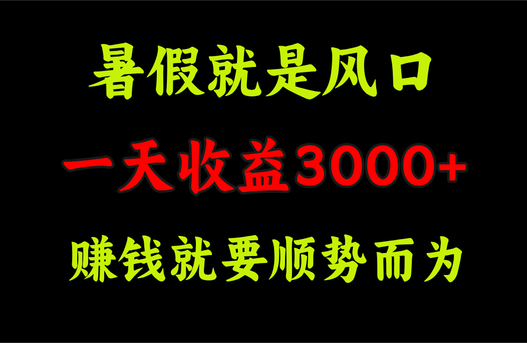 （11670期）一天收益3000+ 赚钱就是顺势而为，暑假就是风口-志拓网创
