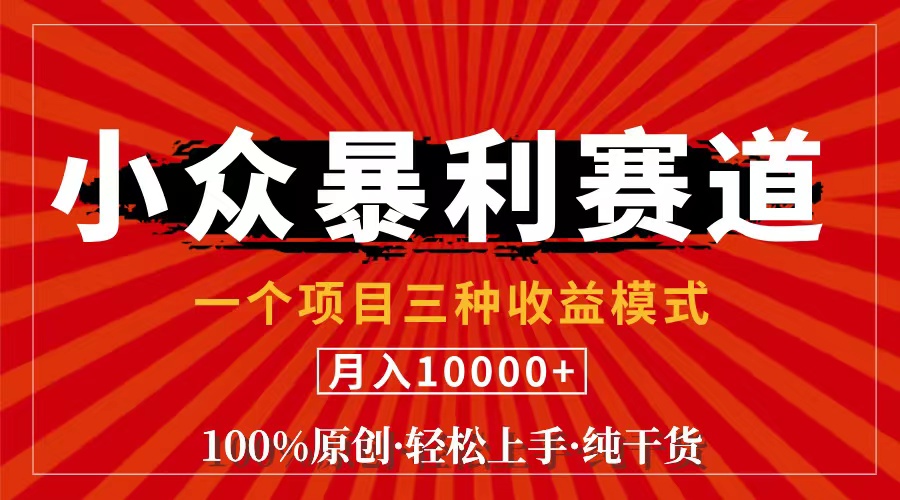 （11695期）视频号【中老年粉深信不疑】小众赛道 100%原创 手把手教学 新号3天收益…-志拓网创