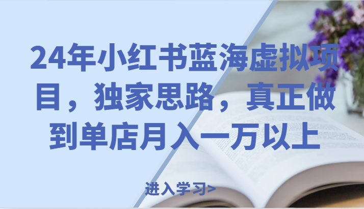 24年小红书蓝海虚拟项目，独家思路，真正做到单店月入一万以上。-志拓网创