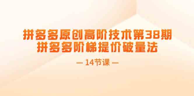 拼多多原创高阶技术第38期，拼多多阶梯提价破量法（14节课）-志拓网创