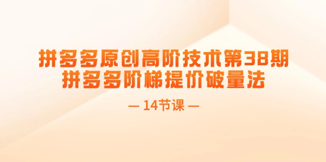 （11704期）拼多多原创高阶技术第38期，拼多多阶梯提价破量法（14节课）-志拓网创