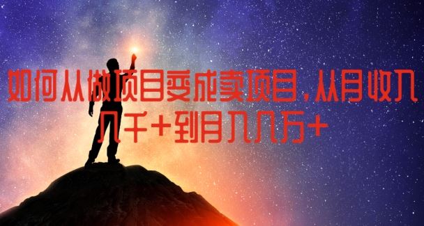 如何从做项目变成卖项目，从月收入几千到月入几万【揭秘】-志拓网创
