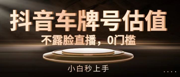 抖音车牌号估值，不露脸直播，0门槛，小白秒上手【揭秘】-志拓网创
