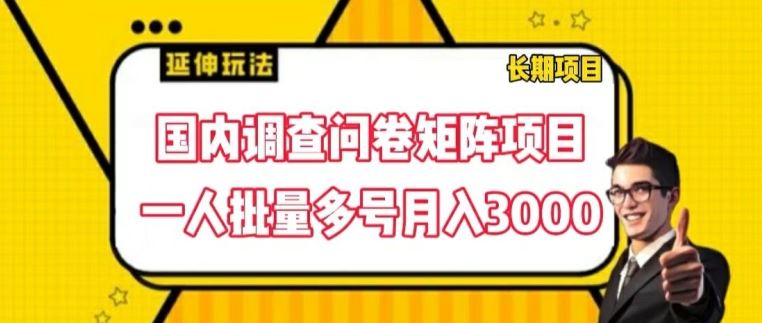 国内调查问卷矩阵项目，一人批量多号月入3000【揭秘】-志拓网创