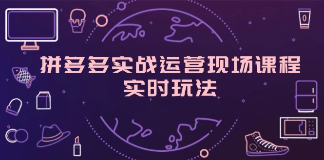 （11759期）拼多多实战运营现场课程，实时玩法，爆款打造，选品、规则解析-志拓网创