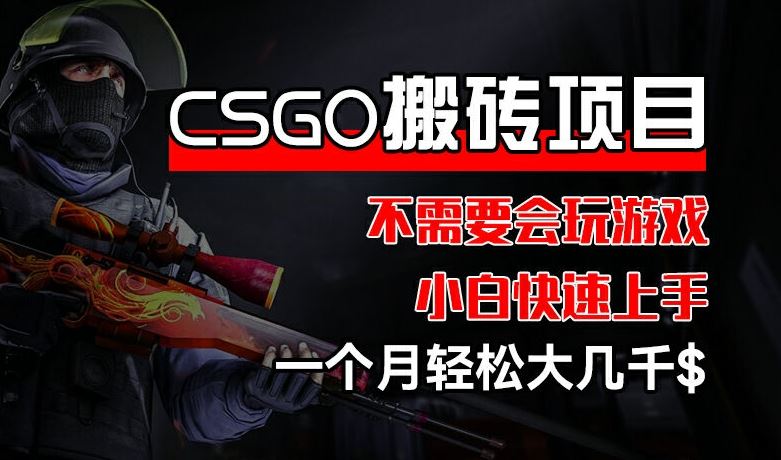 CSGO 装备搬砖项目，操作简单，不需要会玩游戏，小白也能快速上手，一个月轻松大几千【揭秘】-志拓网创