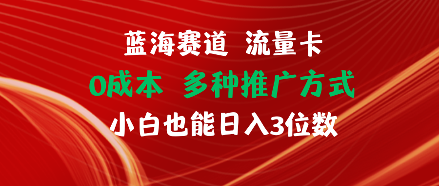 （11768期）蓝海赛道 流量卡 0成本 小白也能日入三位数-志拓网创