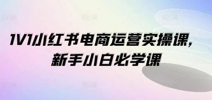 1V1小红书电商运营实操课，新手小白必学课-志拓网创