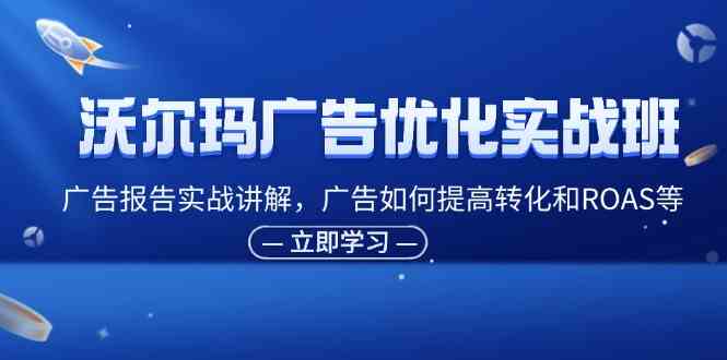 沃尔玛广告优化实战班，广告报告实战讲解，广告如何提高转化和ROAS等-志拓网创