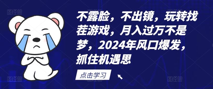 不露脸，不出镜，玩转找茬游戏，月入过万不是梦，2024年风口爆发，抓住机遇【揭秘】-志拓网创