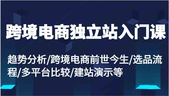跨境电商独立站入门课：趋势分析/跨境电商前世今生/选品流程/多平台比较/建站演示等-志拓网创