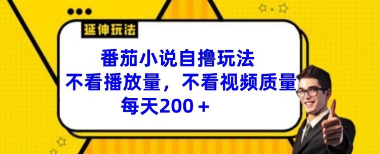 番茄小说自撸玩法，不看播放量，不看视频质量，每天200+【揭秘】-志拓网创