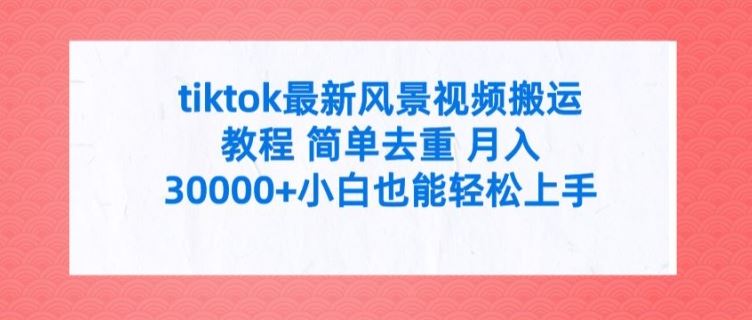 tiktok最新风景视频搬运教程 简单去重 月入3W+小白也能轻松上手【揭秘】-志拓网创