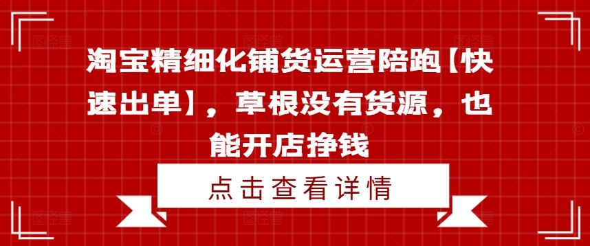 淘宝精细化铺货运营陪跑【快速出单】，草根没有货源，也能开店挣钱-志拓网创