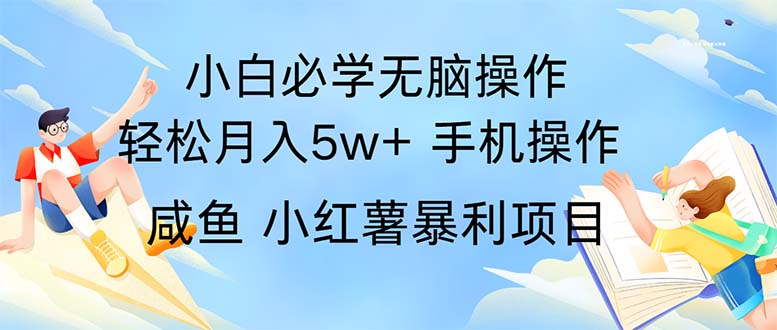 （11953期）2024热门暴利手机操作项目，简单无脑操作，每单利润最少500-志拓网创