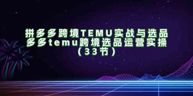 拼多多跨境TEMU实战与选品，多多temu跨境选品运营实操（33节）-志拓网创
