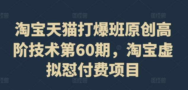 淘宝天猫打爆班原创高阶技术第60期，淘宝虚拟怼付费项目-志拓网创
