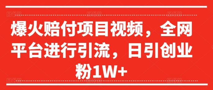 爆火赔付项目视频，全网平台进行引流，日引创业粉1W+【揭秘】-志拓网创