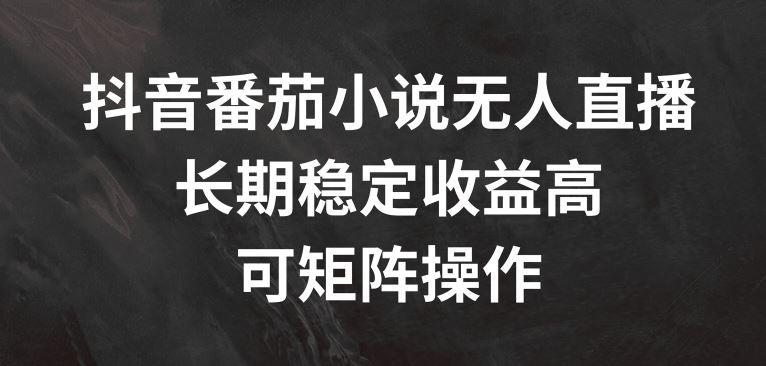 抖音番茄小说无人直播，长期稳定收益高，可矩阵操作【揭秘】-志拓网创