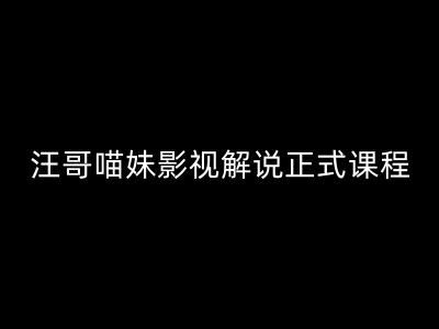 汪哥影视解说正式课程：剪映/PR教学/视解说剪辑5大黄金法则/全流程剪辑7把利器等等-志拓网创