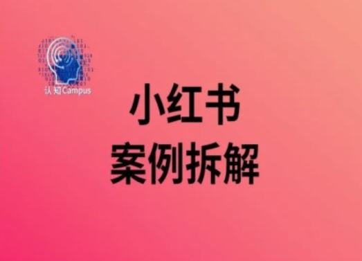 小红书案例拆解，深度解读小红书40万粉-志拓网创