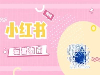 小红书运营指南，没有套路，全是经验-志拓网创
