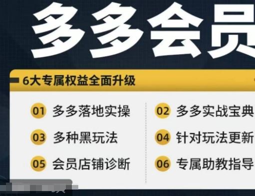拼多多会员，拼多多实战宝典+实战落地实操，从新手到高阶内容全面覆盖-志拓网创