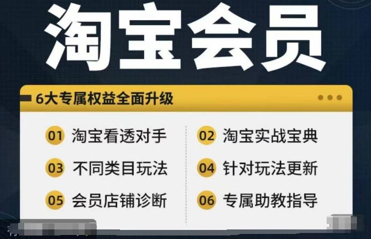 淘宝会员【淘宝所有课程，全面分析对手】，初级到高手全系实战宝典-志拓网创