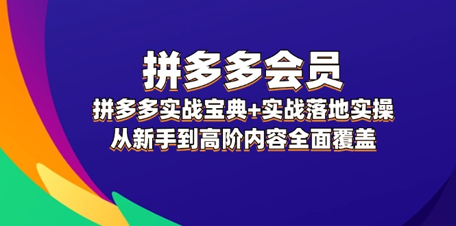 （12056期）拼多多 会员，拼多多实战宝典+实战落地实操，从新手到高阶内容全面覆盖-志拓网创