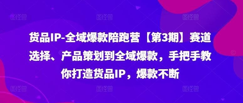 货品IP全域爆款陪跑营【第3期】赛道选择、产品策划到全域爆款，手把手教你打造货品IP，爆款不断-志拓网创