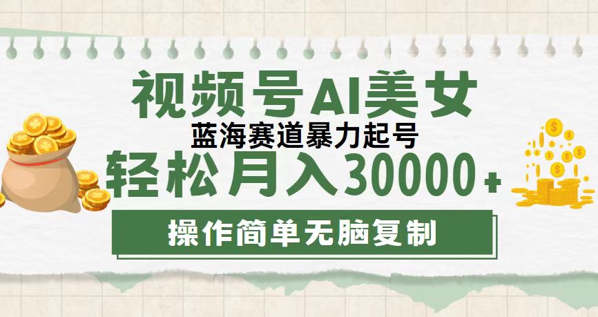 （12087期）视频号AI美女跳舞，轻松月入30000+，蓝海赛道，流量池巨大，起号猛，无…-志拓网创