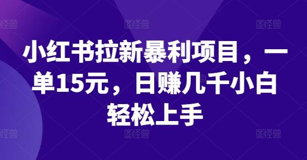小红书拉新暴利项目，一单15元，日赚几千小白轻松上手【揭秘】-志拓网创