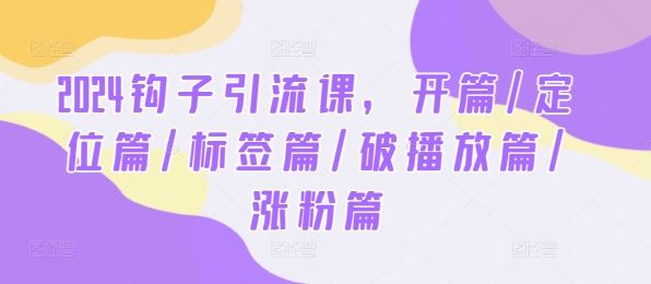 2024钩子引流课，开篇/定位篇/标签篇/破播放篇/涨粉篇-志拓网创