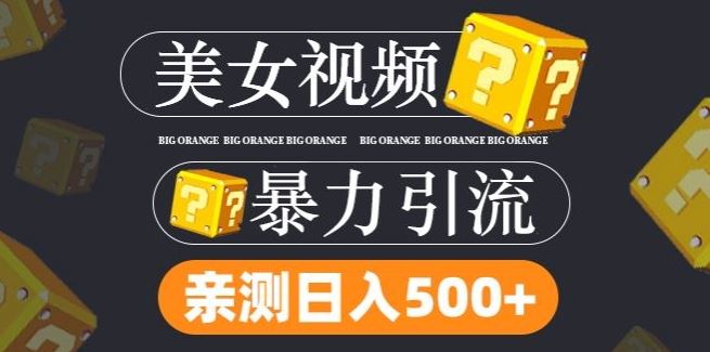 搬运tk美女视频全网分发，日引s粉300+，轻松变现，不限流量不封号【揭秘】-志拓网创