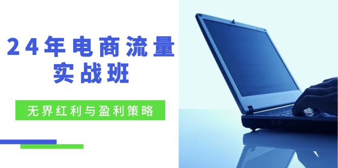 （12168期）24年电商流量实战班：无界 红利与盈利策略，终极提升/关键词优化/精准…-志拓网创
