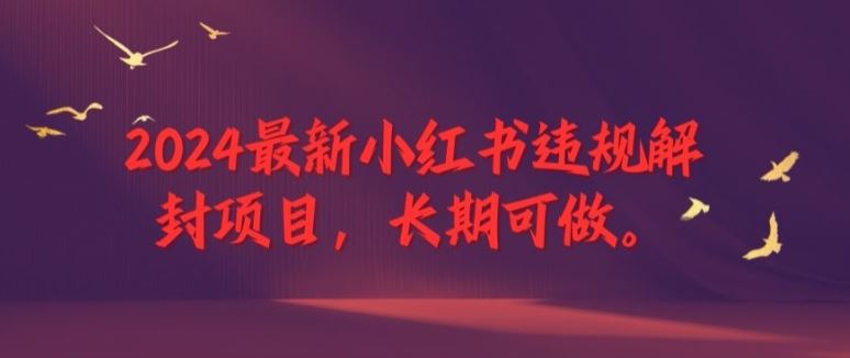 2024最新小红书违规解封项目，长期可做，一个可以做到退休的项目【揭秘】-志拓网创