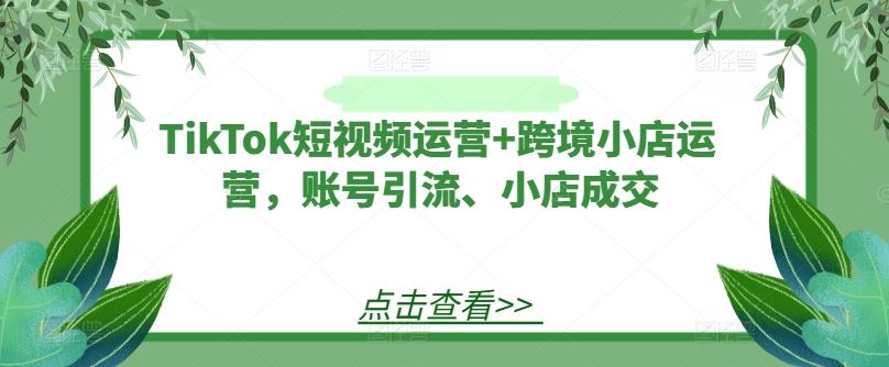 TikTok短视频运营+跨境小店运营，账号引流、小店成交-志拓网创
