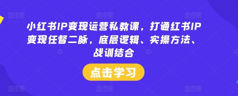 小红书IP变现运营私教课，打通红书IP变现任督二脉，底层逻辑、实操方法、战训结合-志拓网创