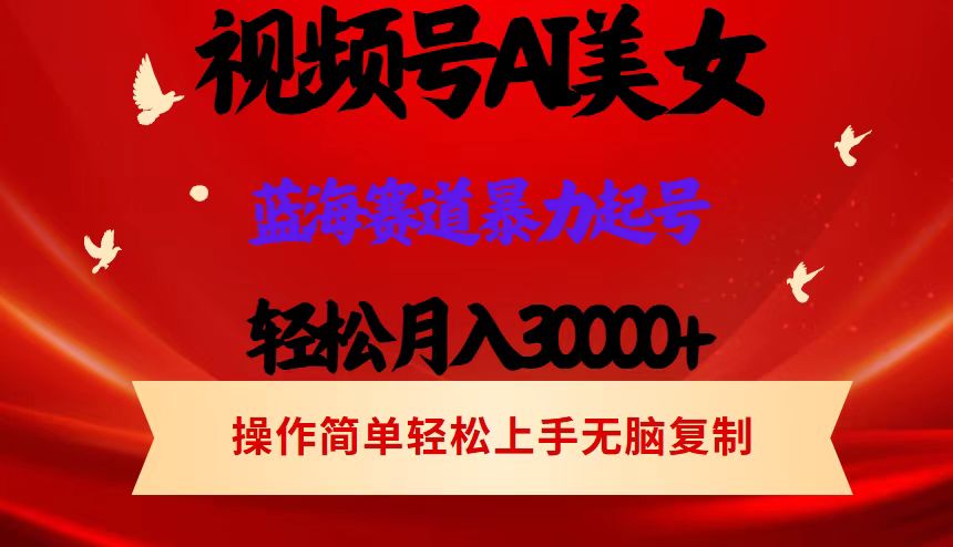 （12178期）视频号AI美女跳舞，轻松月入30000+，蓝海赛道，流量池巨大，起号猛，当…-志拓网创